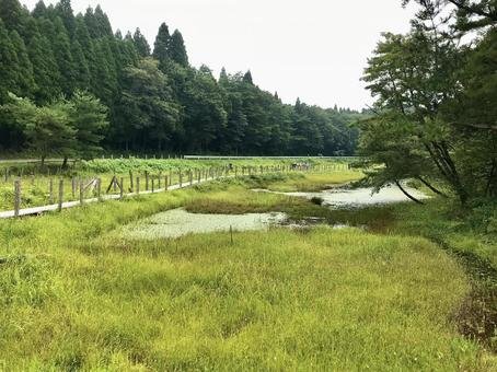 🏞️ 가시바루 습지(가시바루시쓰겐) 이미지 8